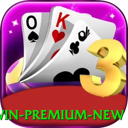 9989win Premium New - pro
