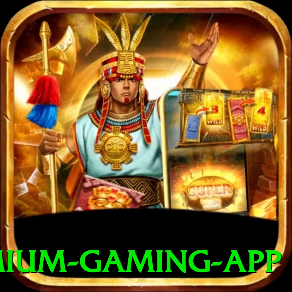 xx11 Premium Gaming App - app
